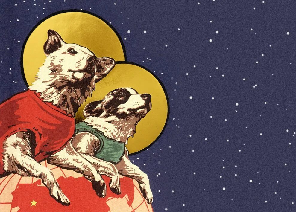 Space animals