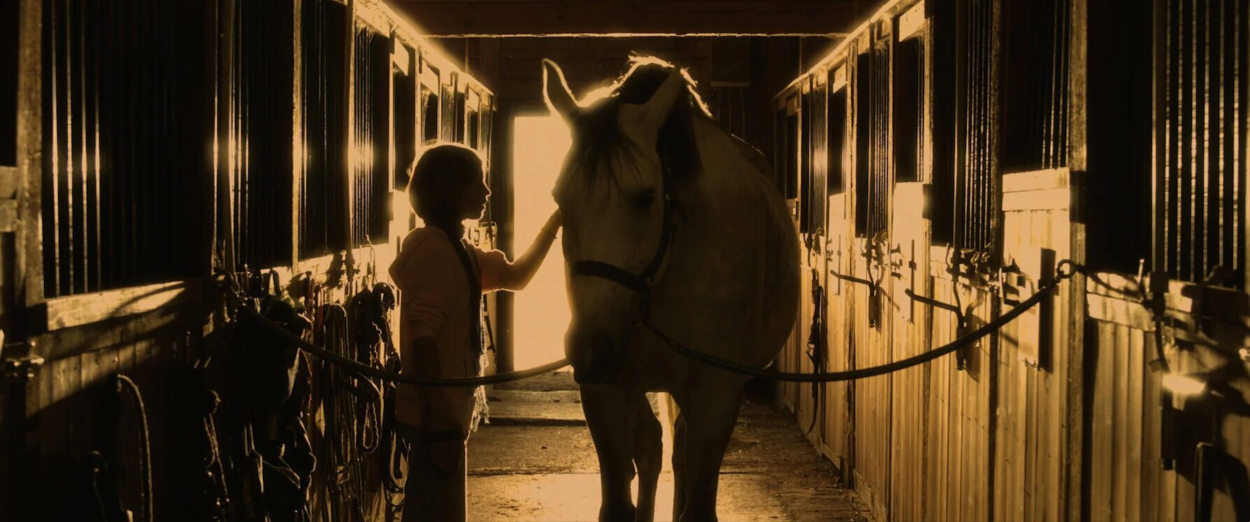 бегущие коричневые лошади. медленные лошади 1. медленные лошади 1 сезон. пробег уже хороший но старенькая лошадь картинки. гарри олдман slow horses.