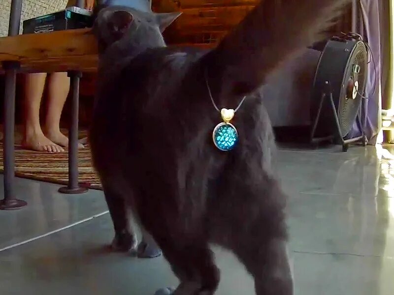 Хвост пробка с хвостом. Как долго можно носить анальную пробку. Как долго можно носить анальную пробку. Велосипед с фаллоимитатором. Пробка с хвостиком.