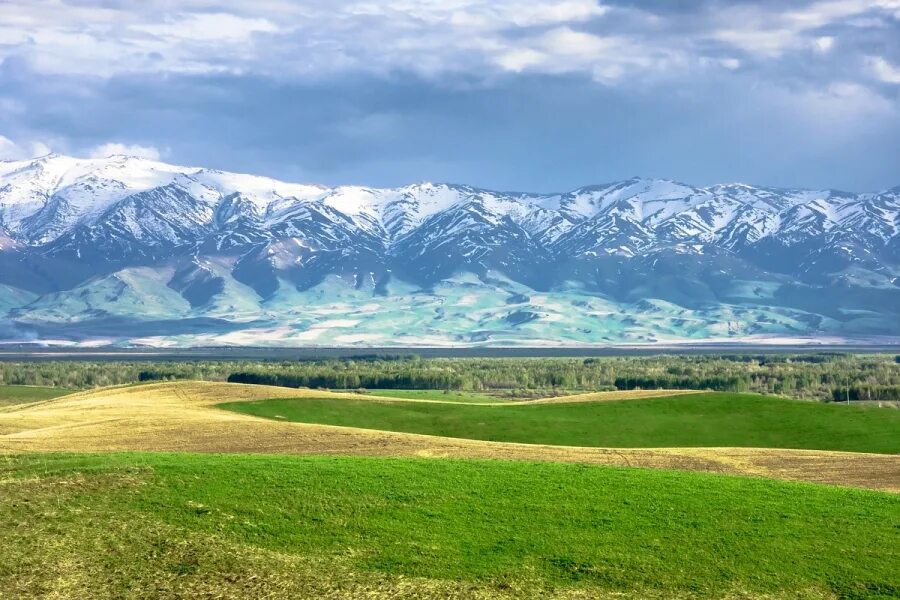 Горы Джайляу Казахстан. Кугалы Казахстан. Степи и горы Казахстана. Алатау Казахстан. Мен жерді