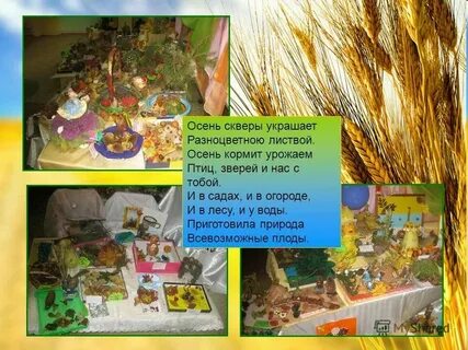 Осень скверы украшает разноцветною автор