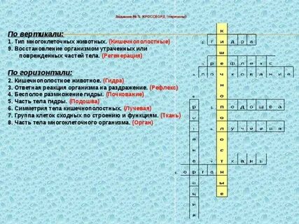 Тест по биологии кишечнополостные