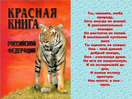 Большая красная книга