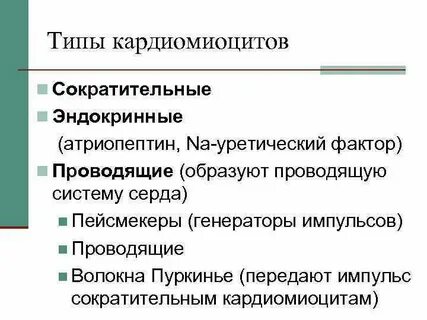 Кардиомиоциты функции