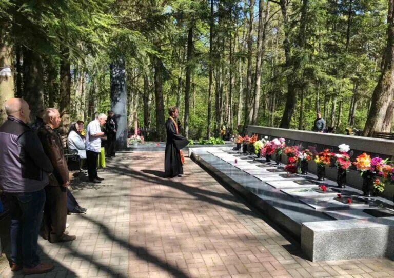 светлогорск 1972 авиакатастрофа детский сад. авиакатастрофа в светлогорске в 1972. детский сад в светлогорске 1972. самолёт упал на детский сад в светлогорске в 1972. трагедия в светлогорске в 1972 году.