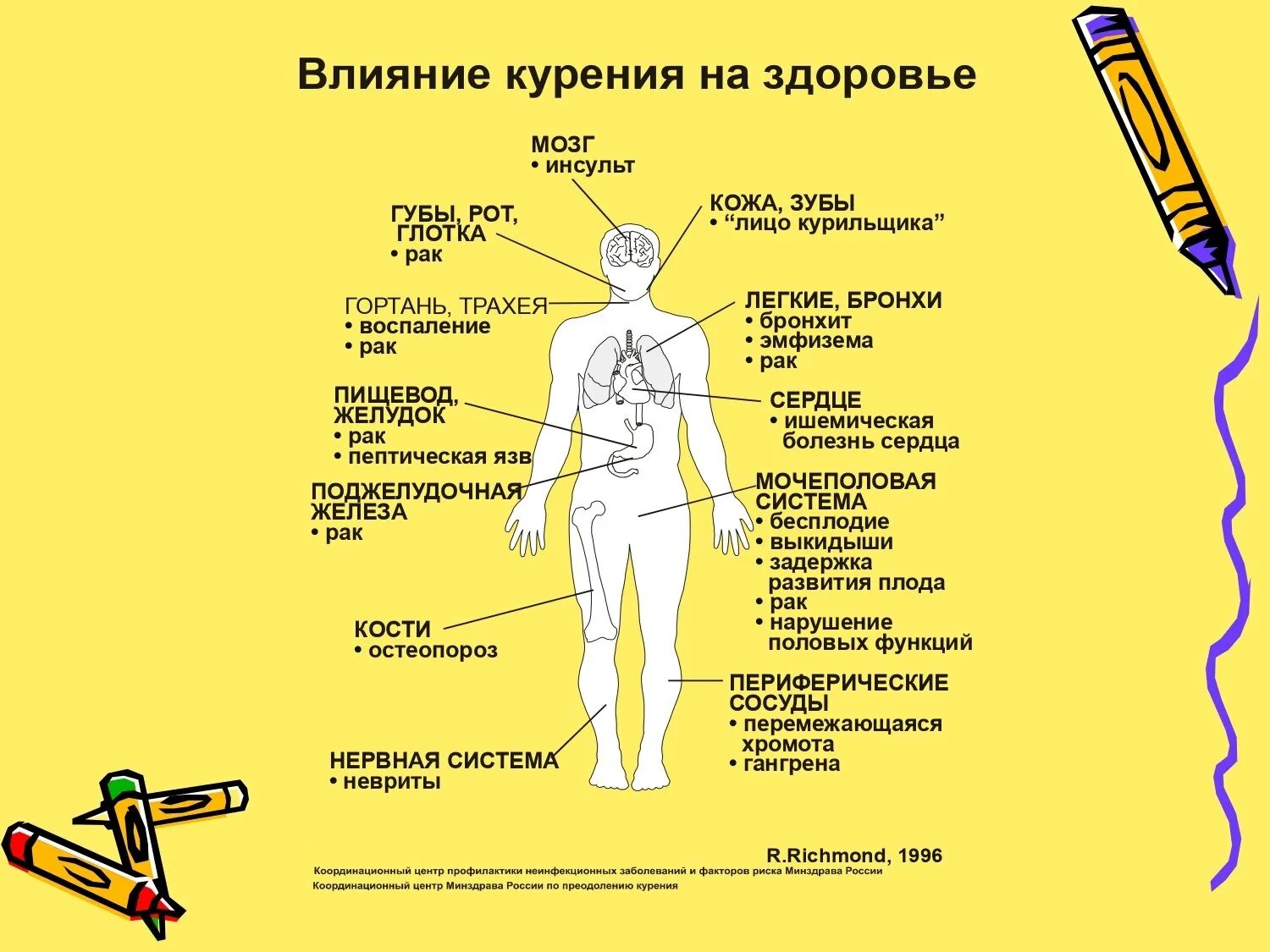 Курение таблица. Воздействие курения на организм схема. вред курения схема. влияние курения на организм подростка. классный час табакокурение.