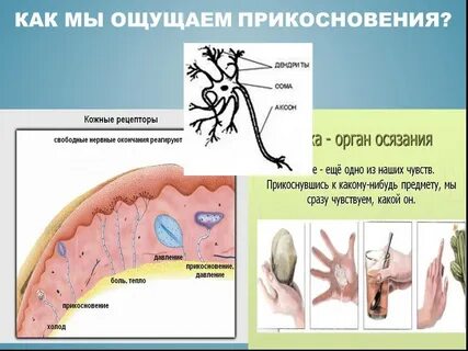 Чувствую прикосновения