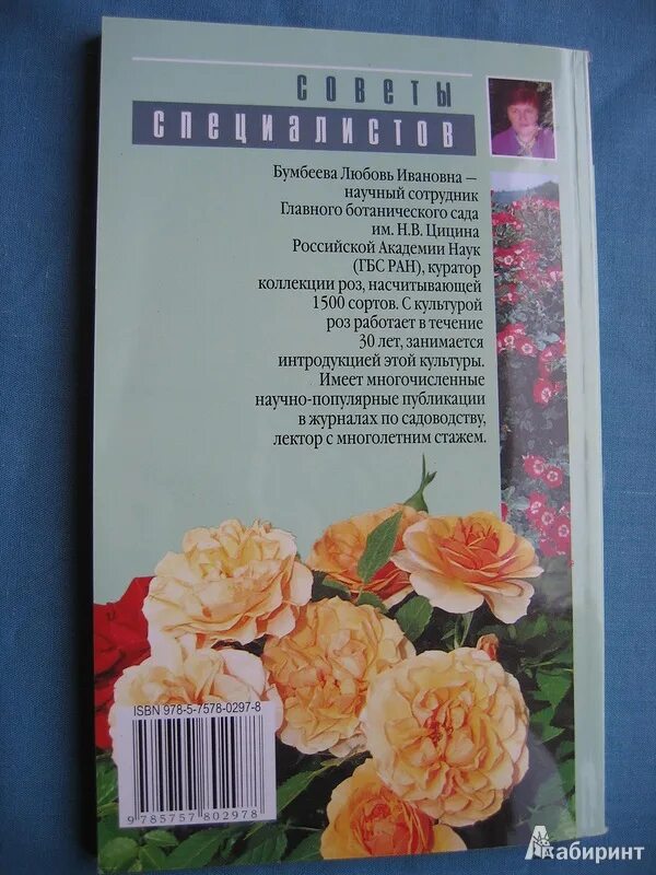 Любовь ивановна бумбеева книги. Бумбеева розы. Садовая культура розы бумбеева. Систематика розы. Бумбеева розы.