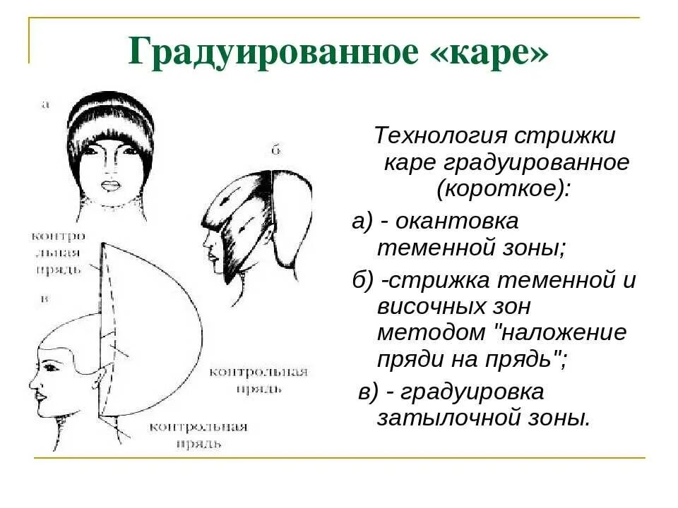 Градуировка в стрижке. Градуированная стрижка схема выполнения. Схема выполнения градуированного каре. Технология стрижки градуированное каре схема. Технология стрижки градуированное каре.