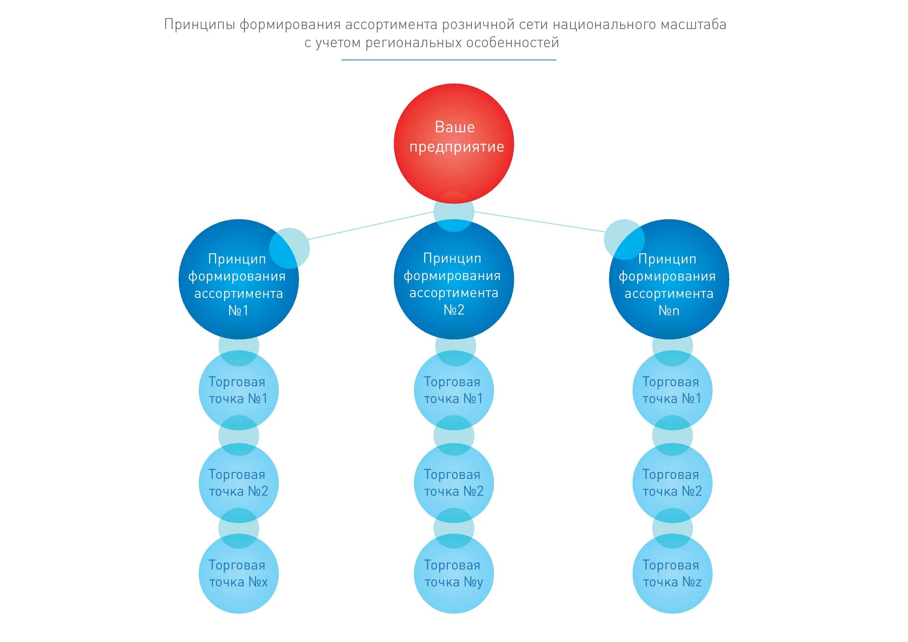 Принципы формирования ассортимента. Процесс формирования ассортимента. Этапы формирования ассортимента в розничной торговле. Формирования ассортимента в аптеке схема.