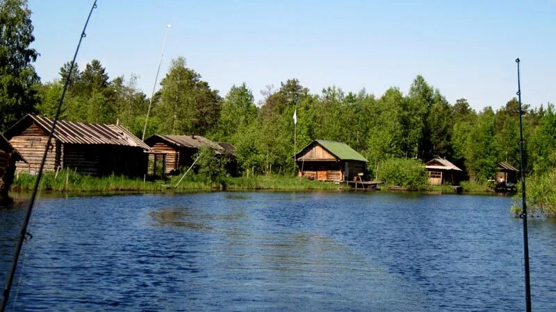 Озеро Воже Вологодская. Озеро Воже Вологодская область рыбалка. Вожега озеро. Липовка озеро Воже. Рыбалка на озерах вологодской области