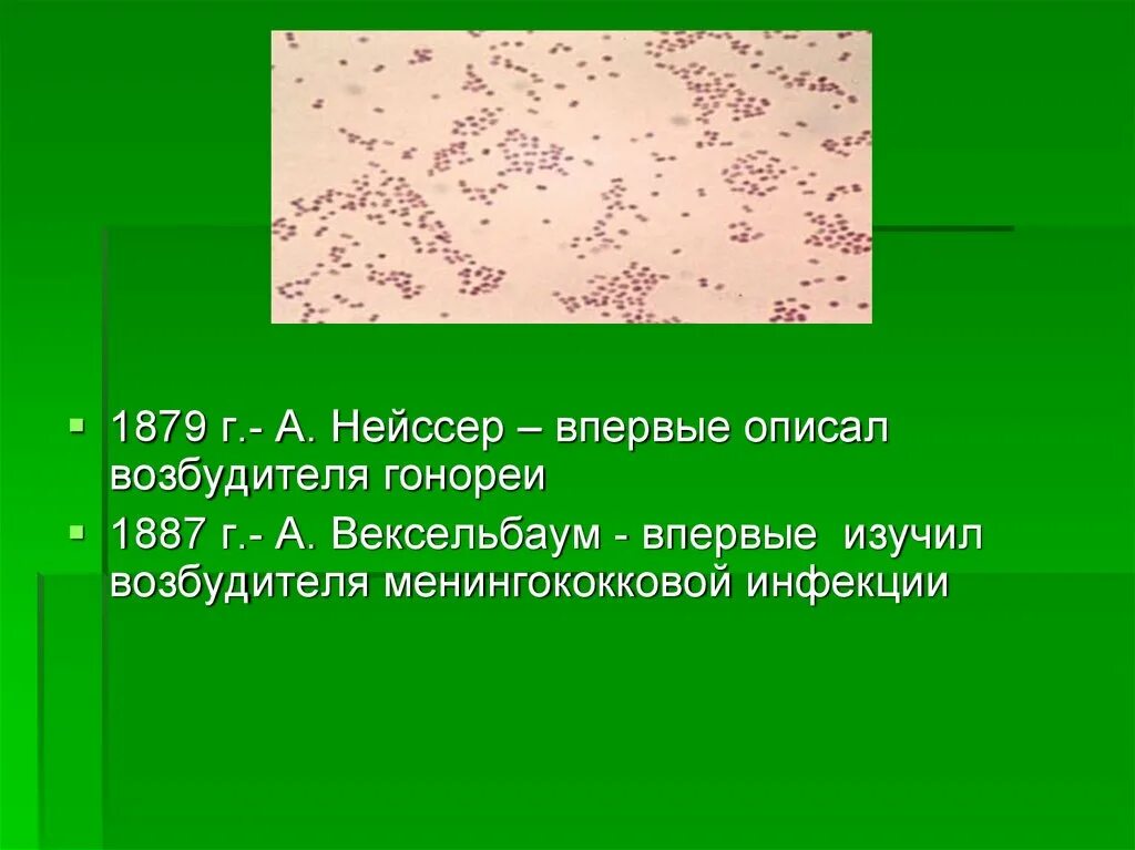 Гонококки нейссера что это