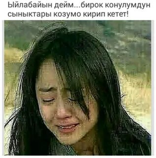 Бир келип