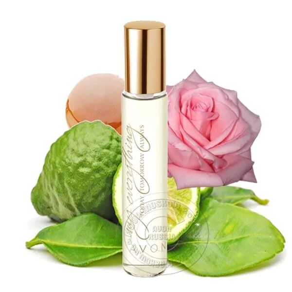 масляные духи с феромонами 10 мл арабские. арабские масляные духи hayati 10мл. парфюм 10 мл. масляные духи pheromon dolce 10 ml. Zann духи масляные феромон.