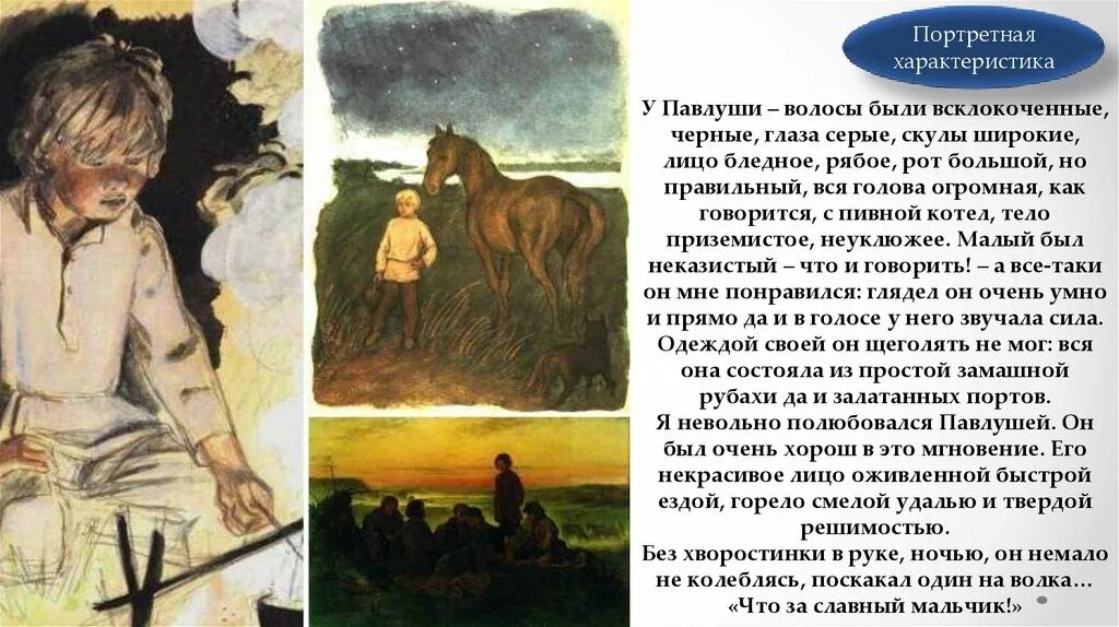 Произведения о луге. Павлуша Бежин луг портрет. Портрет Павлуши из Бежин луг. Описание Павлуши Бежин луг Тургенева.