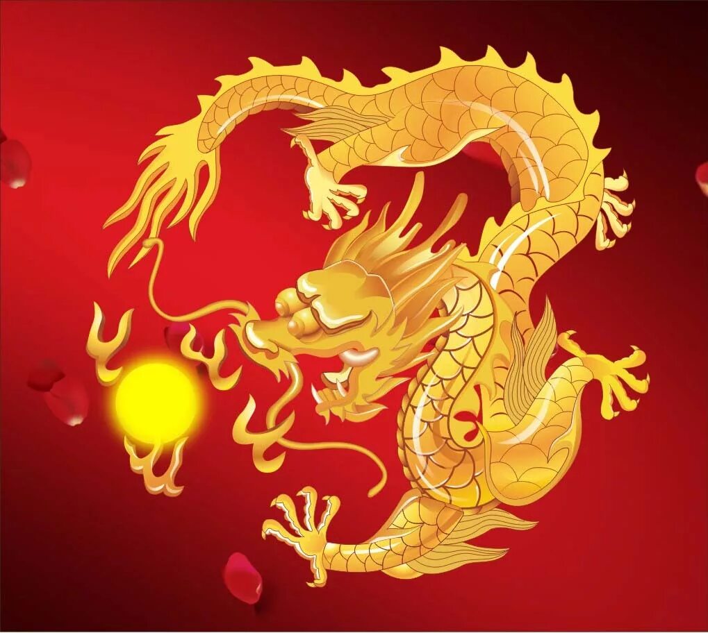 В цикле китайского нового года дракон занимает. New year in china video. Китайский дракон настоящий. Китайский дракон фуцанлун. Китайский дракон.