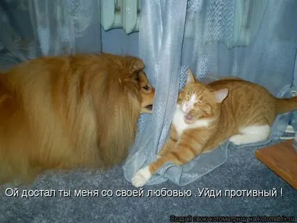Да достала меня