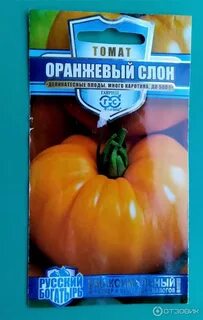 Томат оранжевый слон урожайность