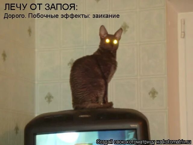 люди с алкогольной зависимостью. русское чудо 1994, россия, комедия. алкоголизм выведение из запоя. алкогальнаязависимость. вывод из запоя на дому.