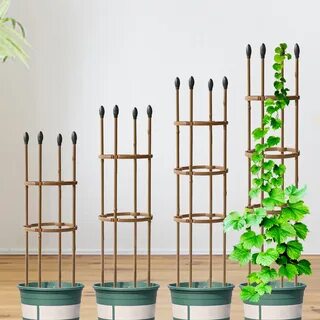 Plant supports