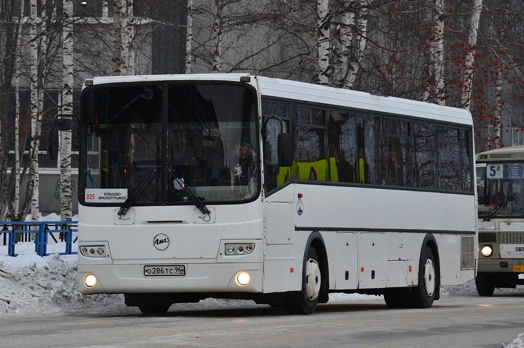 Автобус Краснотурьинск Кольцово. Автобус Краснотурьинск Екатеринбург. Екатеринбург Краснотурьинск автобус 509 а. Автобус Краснотурьинск аэропорт Кольцово. Автобус челябинск екатеринбург аэропорт