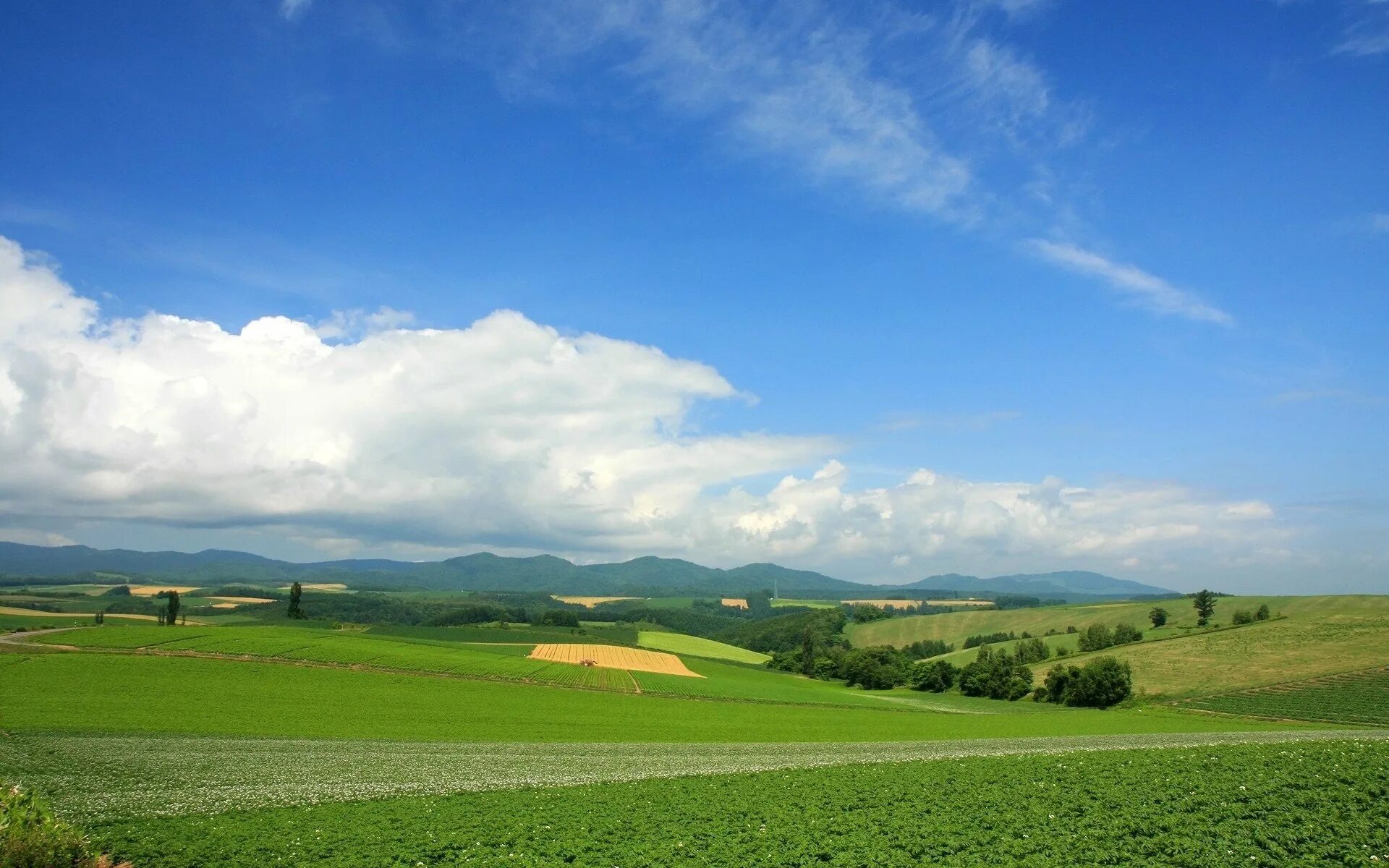 Эти равнины словно бескрайнее. Монтьельская равнина Испания. Грузия ландшафт равнины. Ландшафт Румынии равнины. Пейзаж холмы.