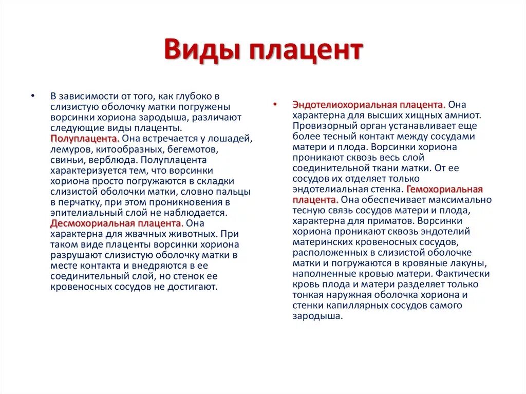 Типы строения плаценты