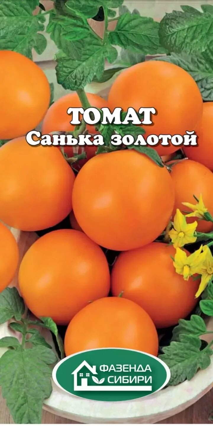 Описание сорта томата санька золотой. Томат Санька золотой. Томат золотой Санька производитель. Семена томат Санька. Томат Санька желтый.