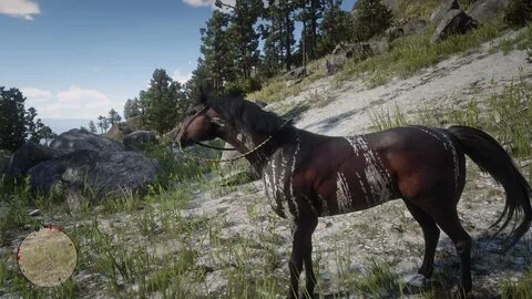 Где Купить Арабского Скакуна В Rdr 2. Где Купить Арабского Скакуна В Рдр 2....
