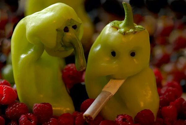 Pin on Фрукты-овощи Funny vegetables, Fruit and veg, Fruit
