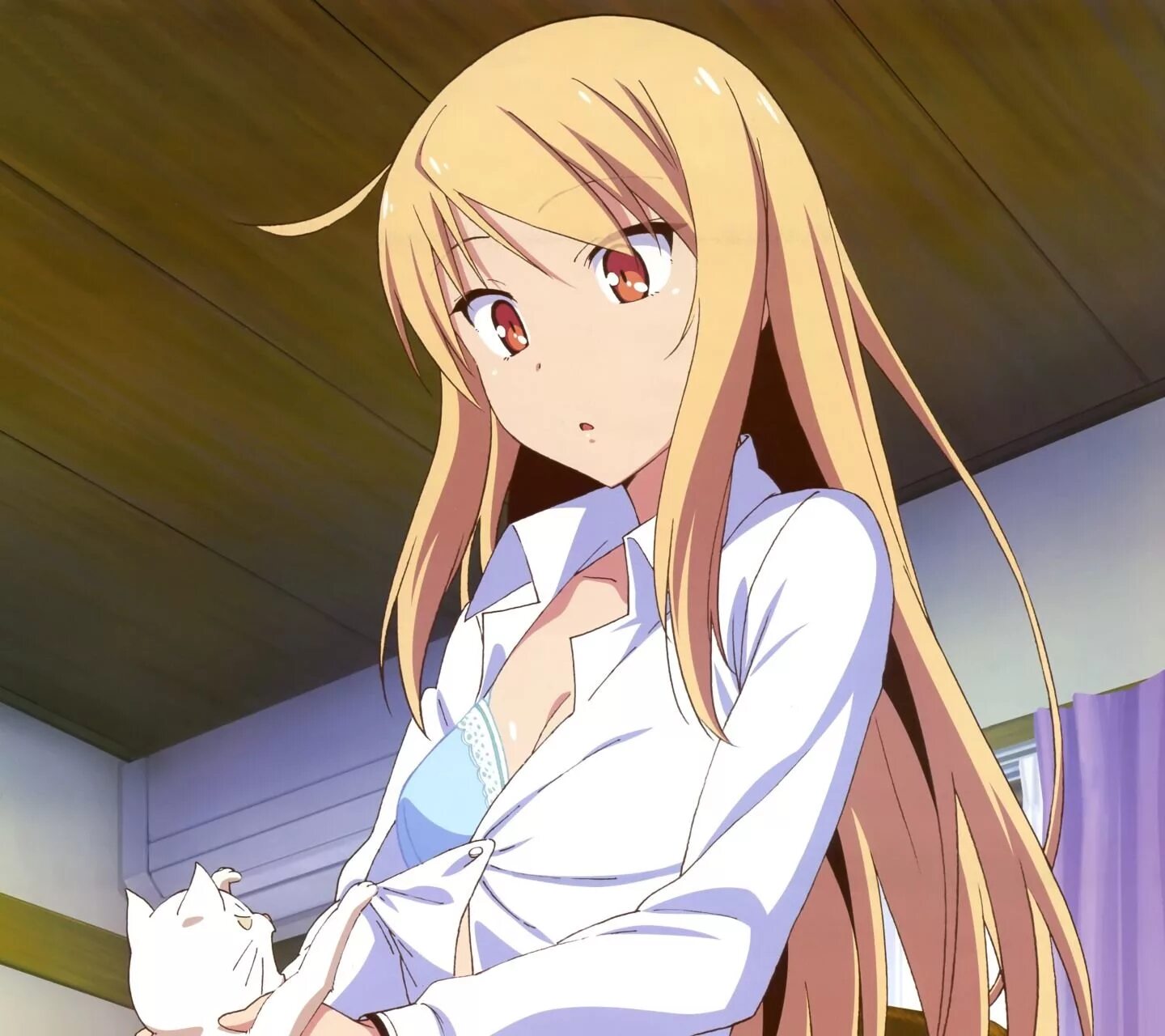 Sakurasou no pet na. Mashiro Shiina. Кошечка из Сакурасо Маширо. Сакурасо Масиро Сиина.