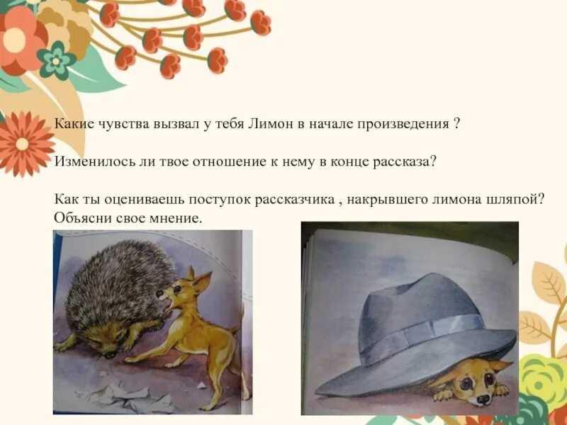 Рассказ про фрукты. М. План рассказа лимон. Рисунок к рассказу лимон. Лимон для презентации.