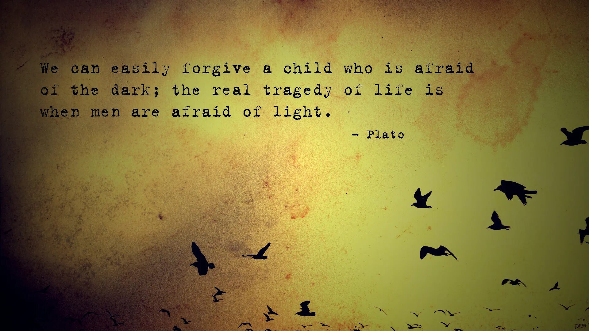 When i was afraid. Forgive easily. Фирма afraid of the Light. We can easily forgive a child who is afraid of the Dark; the real Tragedy of Life is when men are afraid of the Light.. Afraid of the Light кепка.