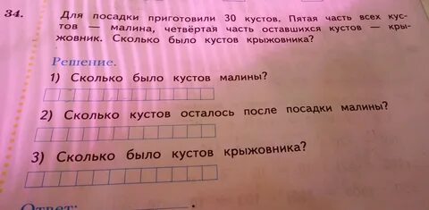 В саду посадили 620 кустов крыжовника малины