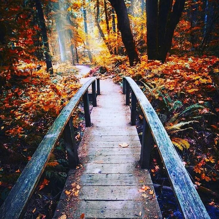 Is a fall