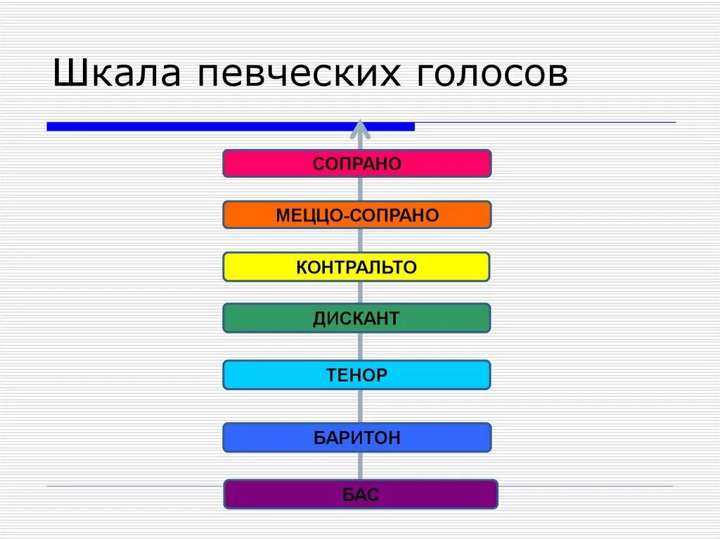 Альт это какой голос. Сопрано диапазон голоса. Дискант тенор бас. Шкала голоса. Контральто певческие голоса.