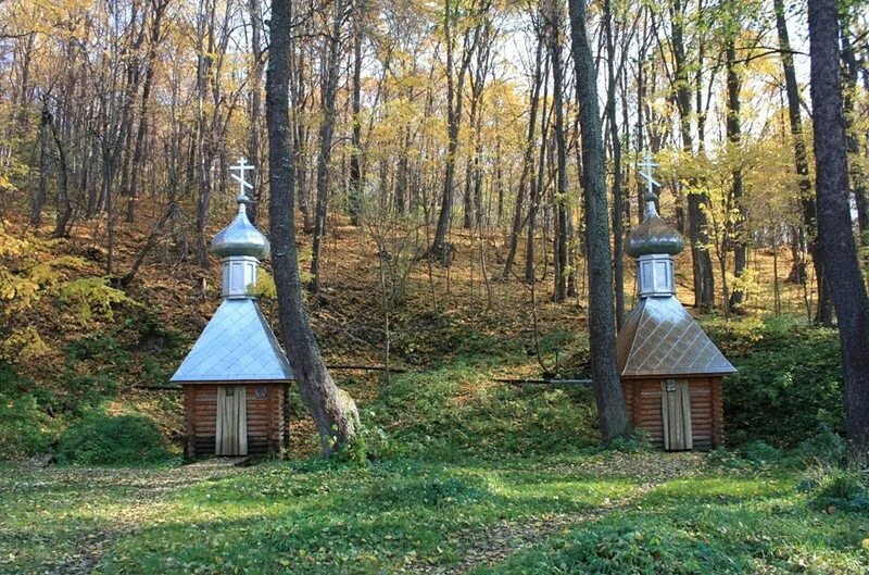 Салолейка Нижний Ломов. Святой источник Салолейка Пенза. Святой источник Салолейка Пензенская обл. Родник Салолейка. Святой пензенская область