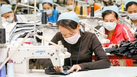 Human industry