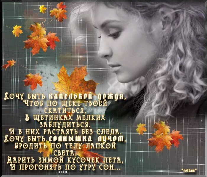Слезы осени текст