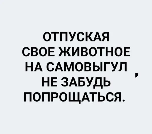 Отпуская животное на самовыгул. Отпуская свое животное на самовыгул не забудь попрощаться. Выпуская животное на самовыгул не забудьте с ним попрощаться. Забыла сказать пока