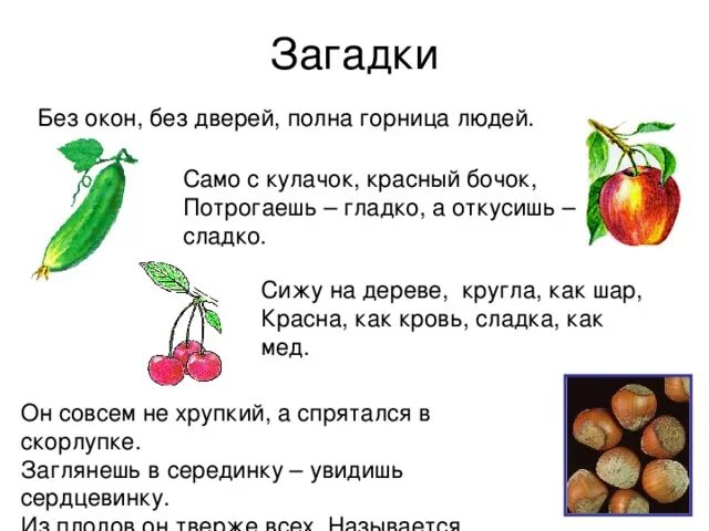 Загадки на тему плоды. Загадки о плодах и семенах. Загадки про плоды. Загадки по биологии. 5 загадок по биологии