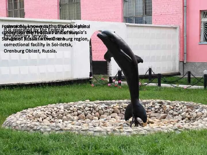 Фонтан черный Дельфин тюрьма. Фонтан с черным дельфином. Оренбург черный Дельфин. Черный Дельфин хата. Фантанчик с черным ремикс