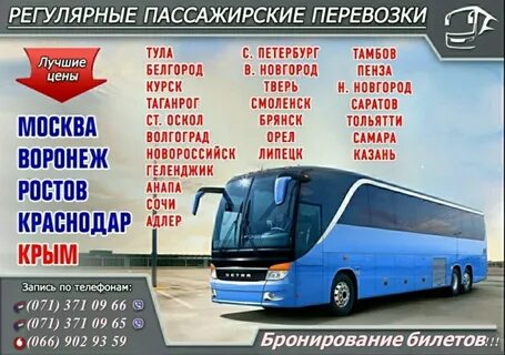 Автобус спб ростов на дону