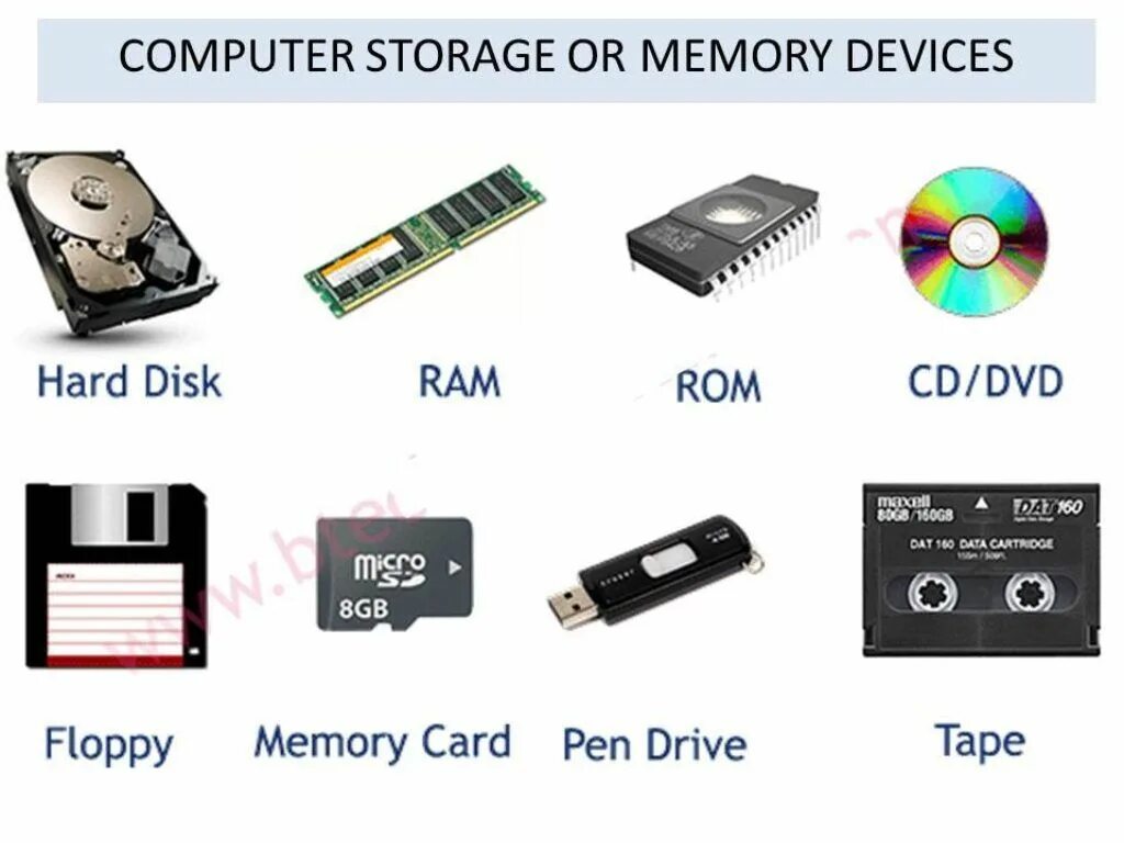 Memory Storage devices. Computer Storage devices. Computer Memory device. Запоминающие устройства ПК. Компьютерная память устройство