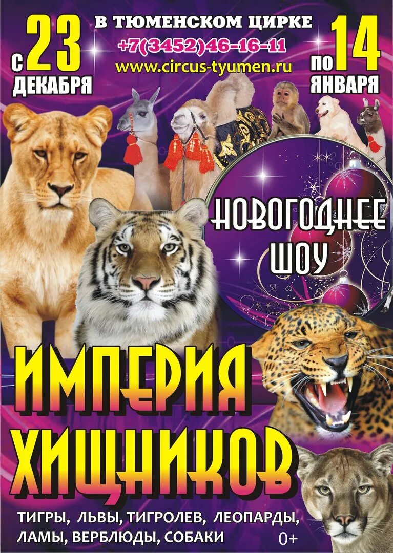 Афиша цирка. Цирк Тюмень афиша. Цирк Империя хищников. Цирк репертуар.