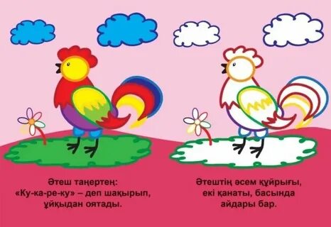 Кавказдық қызбен жыныстық қатынасқа түскен порно видео