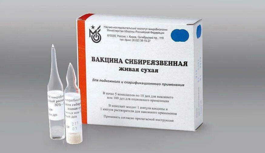 Вакцина сибиреязвенная сти Живая сухая. Вакцина Живая из штамма "55-ВНИИВВИМ" против сибирской язвы. 1. Живая сибиреязвенная вакцина «сти». Вакцина сибирской язвы Живая сухая. Иммуноглобулин от бешенства