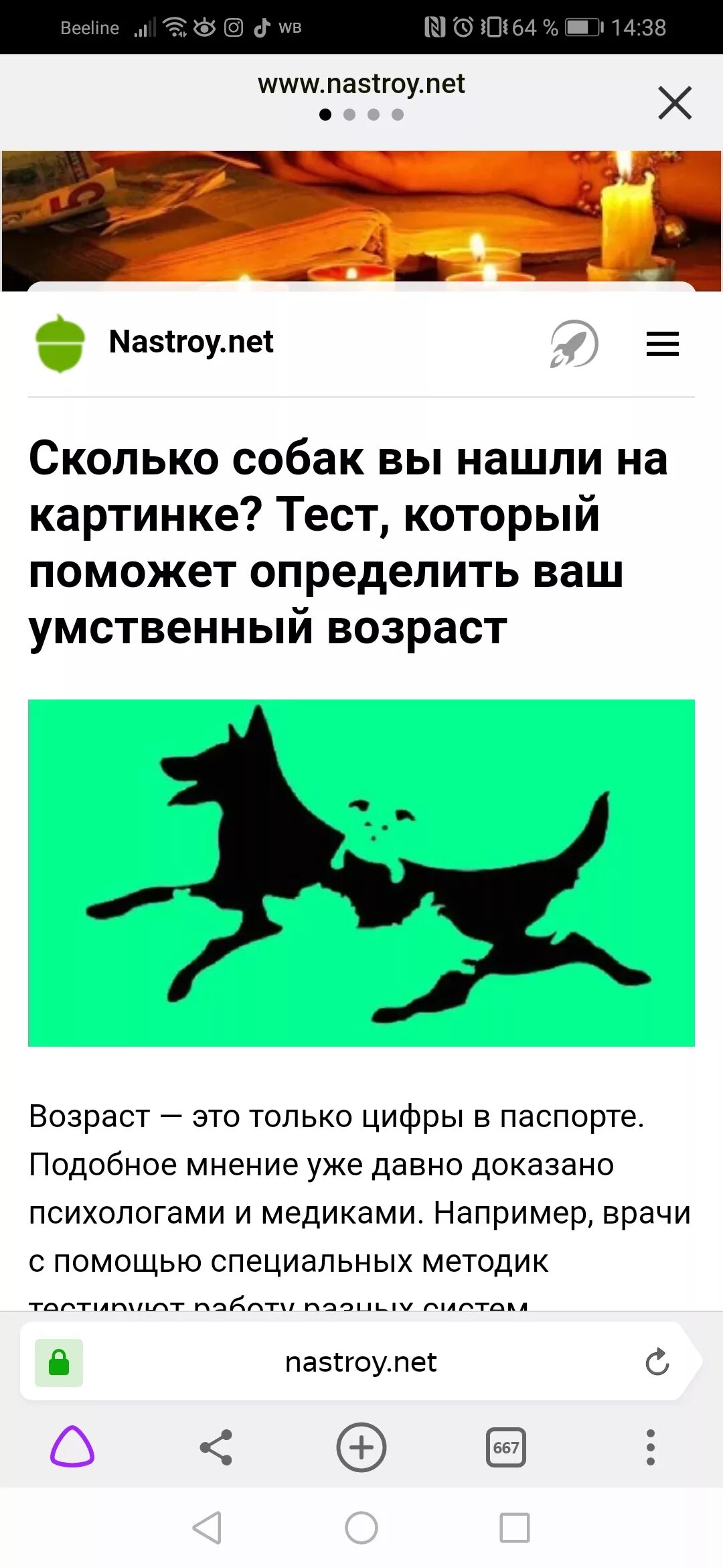 Сколько собак вы видите. Алмазная мозаика "собачка". Сколько собак на картинк. Головоломка найди кошку. Обман зрения загадки.