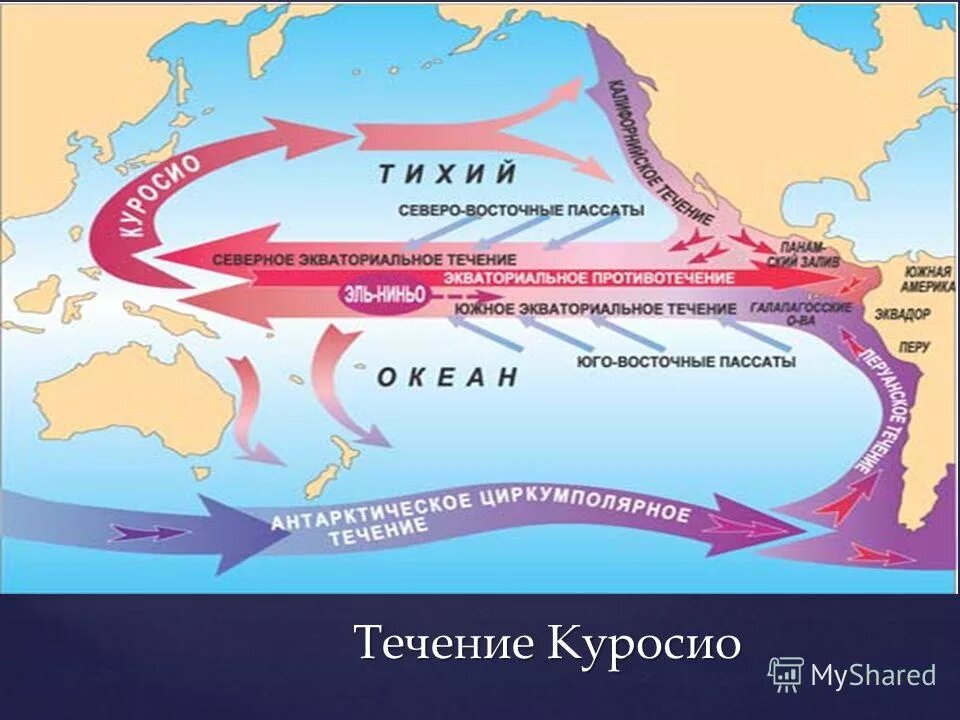 Течение Эль-Ниньо тихий океан. Эль Ниньо перуанское течение. Тёплые течения Тихого океана Куросио. Океаническое течение Эль-Ниньо.