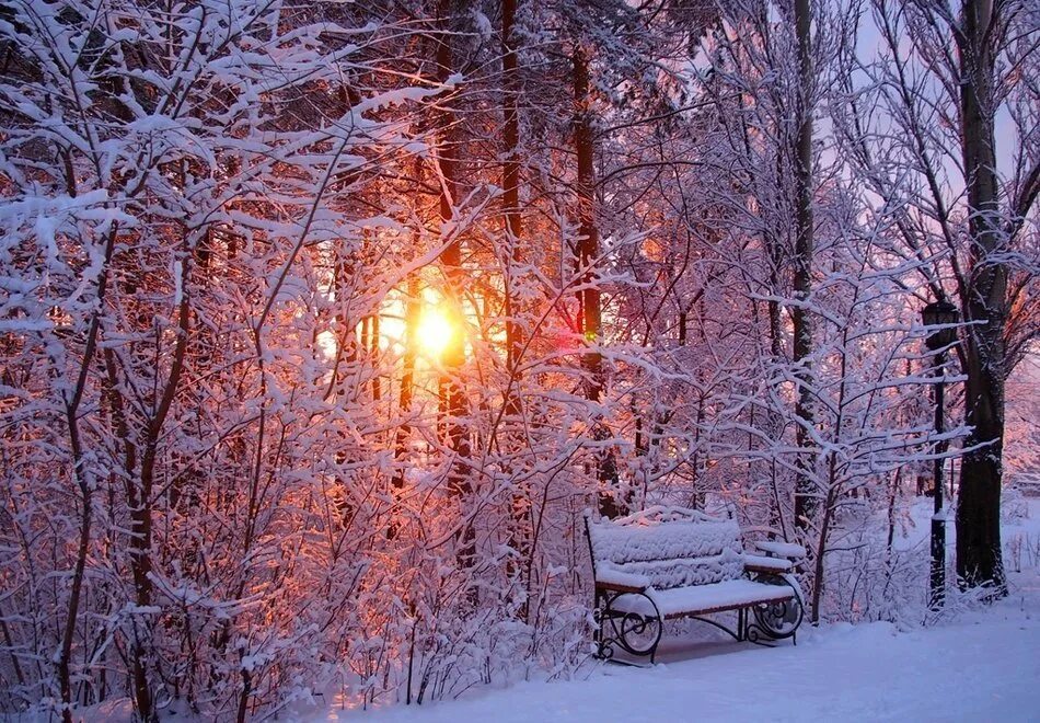 Снежная зима. Зимний лес солнце. Солнечный зимний день. Красивые зимние фотографии.